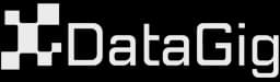 DataGig